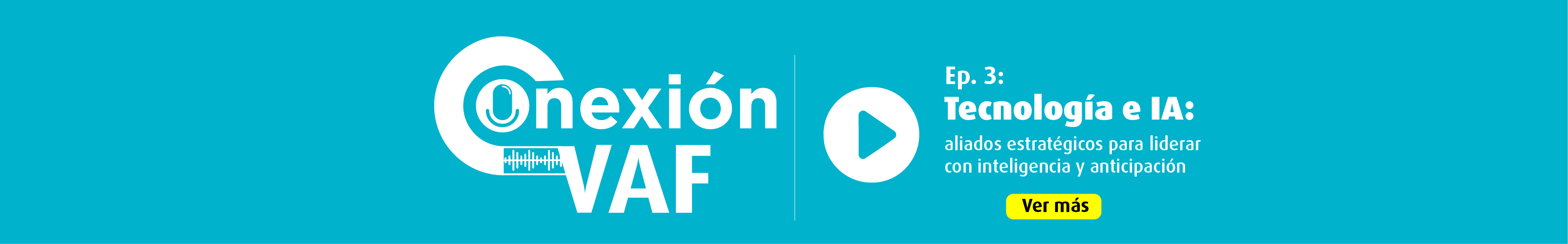 Banner conexión VAF