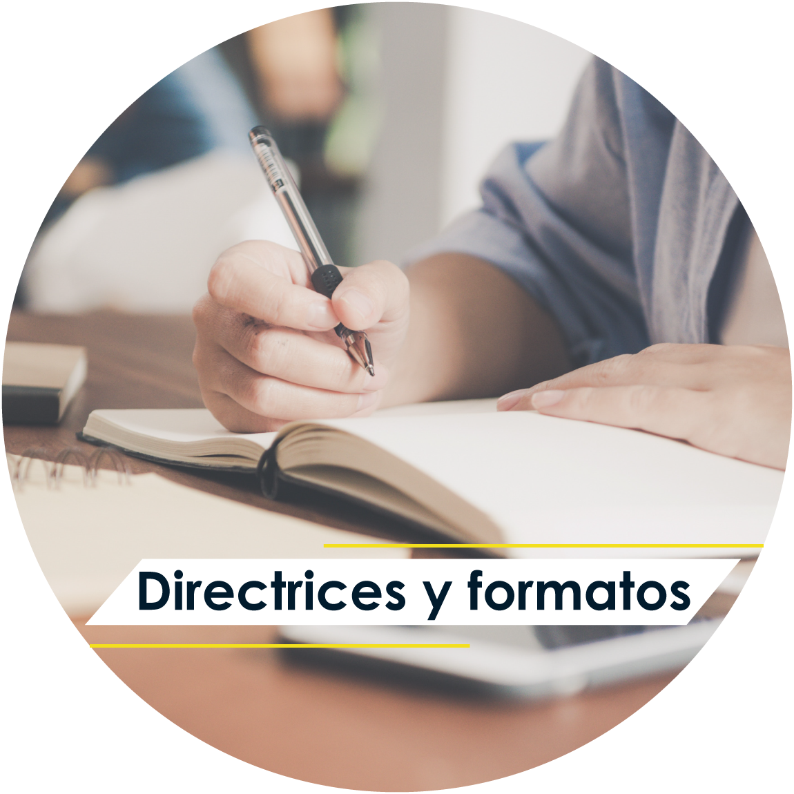 Directrices y formatos